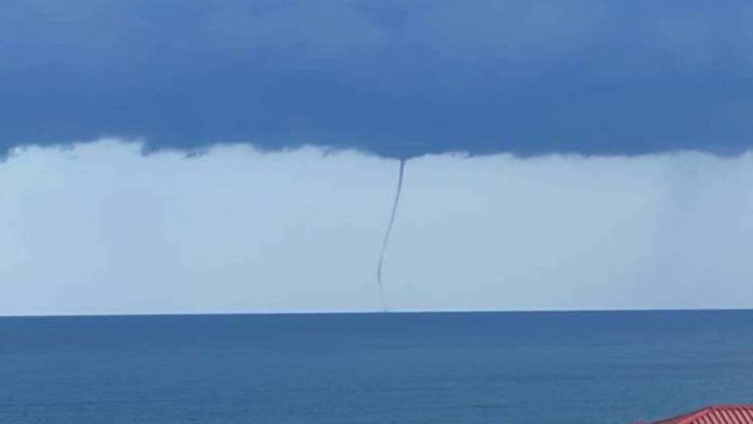 Rize'de korkutan titreten olay! Denizi ortasından yararak çıktı, gören telefonuna sarıldı 4